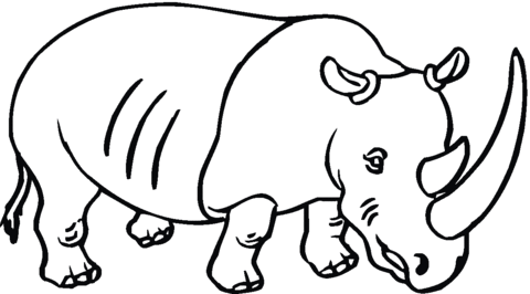 Rhino With Big Horn Coloring Page